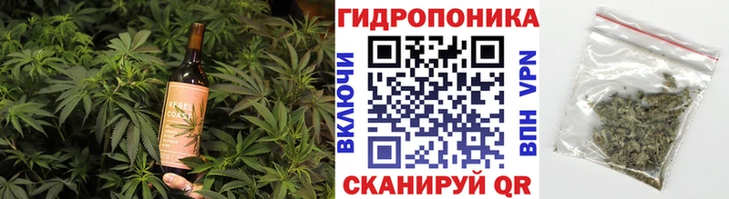 Cannafood конопля  гидра ССЫЛКА  Ардон  цена наркотик 
