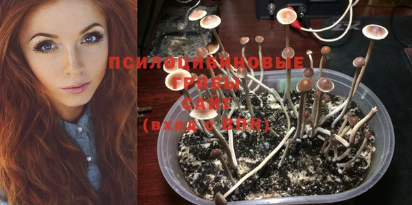 винт Алексеевка